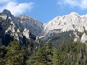 Salita al Passo di Monte Colle da Piazzatorre - PERCORSO FOTOGRAFICO IN FOTOGALLERY  (2 0 settembre 07)