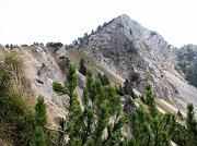 Salita al Passo di Monte Colle da Piazzatorre - PERCORSO FOTOGRAFICO IN FOTOGALLERY  (2 0 settembre 07)