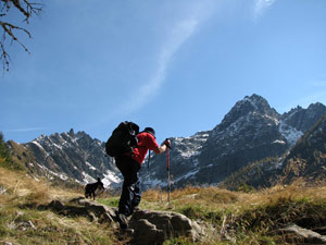 Il cane precede il padrone - foto Piero Gritti 3 sett 07