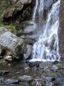 Acqua e cascatelle non mancano... - foto Piero Gritti 3 sett 07