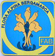 Vedi il sito del F.A.B. - Flora Alpina Bergamasca