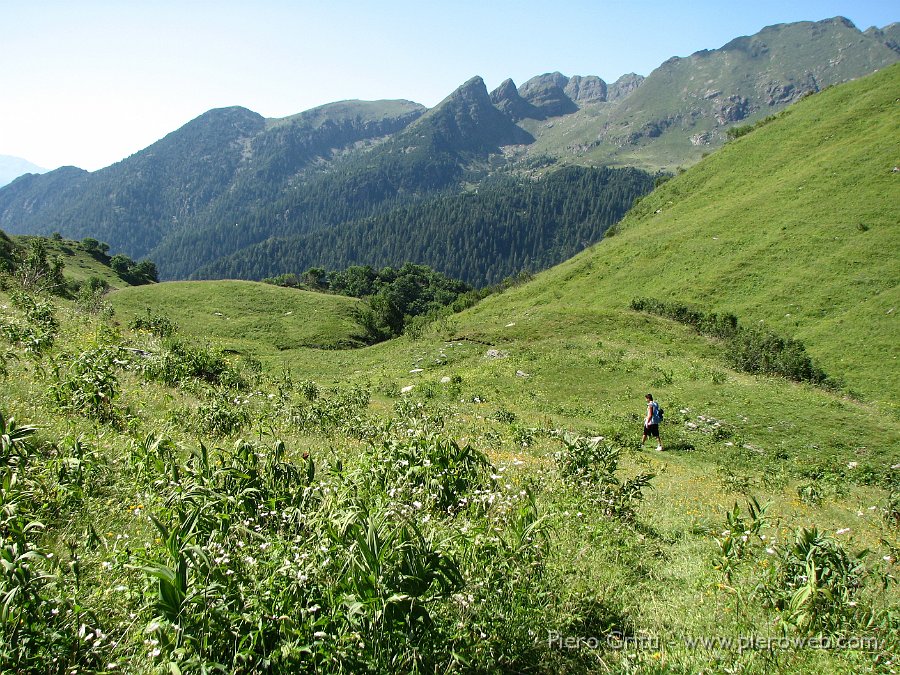 IMG_1424.JPG - Tra il verde dei pascoli, i colori dei fiori...il panorama verso i Tre Pizzi