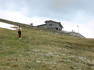 Pascoli imbiancati dall'ultima neve e dai crocus 