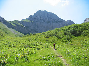 In vista della Corna Piana tra verdi trati ricchi di fiori 