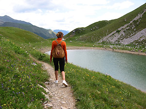 Costeggiano il Lago Branchino prati ricchi di fiori multicolori