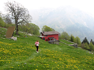 Vista primaverile con i prati in fiore