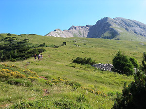 In vista della cima dell'Arera