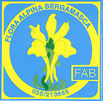 Entra nel sito del F.A.B. (Il logo del FAB  rappresenta  il fiore esclusivo delle Alpi Orobie 'Linaria bergamasca' , 'Linaria Tonzigii'