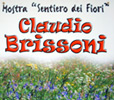 La Mostra permanente aperta presso il Rifugio Capanna 2000 in omaggio a Clauio Brissoni