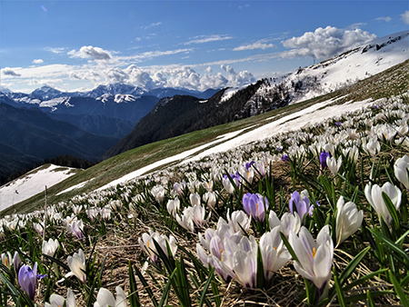 CA' - PASSO SAN MARCO - MONTU' in risveglio primaverile (3magg21) - FOTOGALLERY"