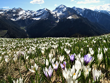 CA' - PASSO SAN MARCO - MONTU' in risveglio primaverile (3magg21) - FOTOGALLERY"