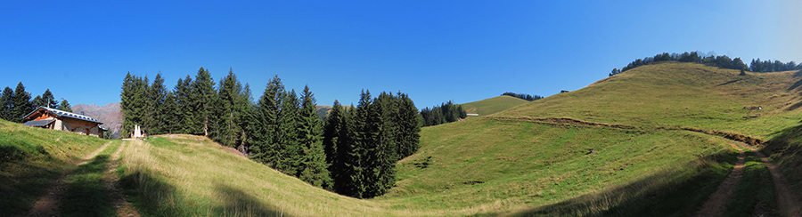 Da Alpe Gambetta (1650 m) a Alpe Cantedondo (1500 m) bei panorami