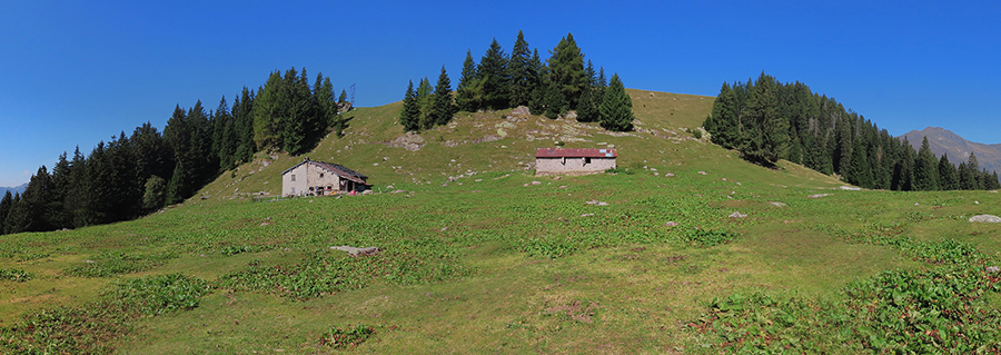 Alpe Gambetta (1650 m)