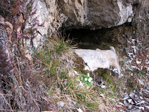 Piccola sorgente d'acqua sul sentiero