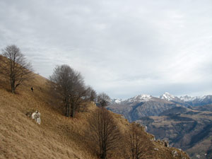 L'ultimo tratto di sentiero per la cima Pizzo Grande 