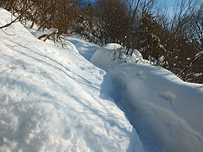 Salita pomeridiana al MONTE SUCHELLO (1541 m.) ben innevato da Costa Serina l 25 gennaio 2013  - FOTOGALLERY