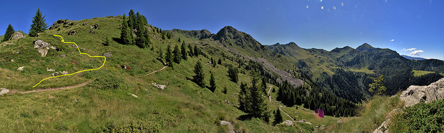 Bocchetta di Budria-Monte Azzaredo ad anello fiorito-8lu22