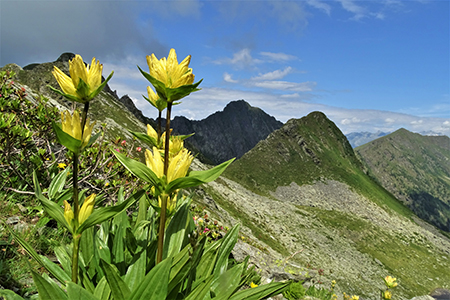 Anello Monti Tartano e Azzaredo, passando dal Bivacco Zamboni e dal Rifugio Balicco, il 17 luglio 2019- FOTOGALLERY
