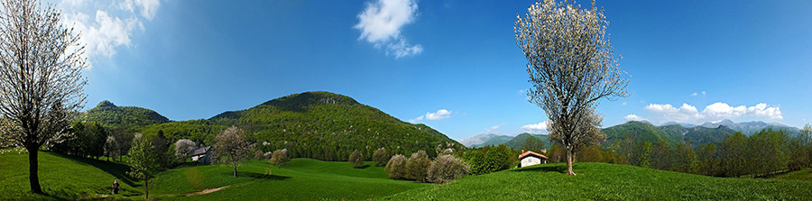 Dai ciliegi in fiore di PIAZZOLI alla bella Madonnina dei CANTI il 14 maggio 2013