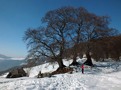 Sulla neve da Fuipiano Imagna ai Tre Faggi (1399 m.) il 4 marzo 2013 - FOTOGALLERY