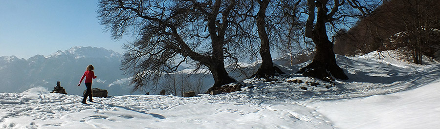 Sulla neve da fuipiano imagna ai tre facggi il 4 marzo 2013