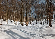 Sulla neve da Fuipiano Imagna ai Tre Faggi (1399 m.) il 4 marzo 2013 - FOTOGALLERY