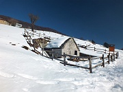 Sulla neve da Fuipiano Imagna ai Tre Faggi (1399 m.) il 4 marzo 2013 - FOTOGALLERY