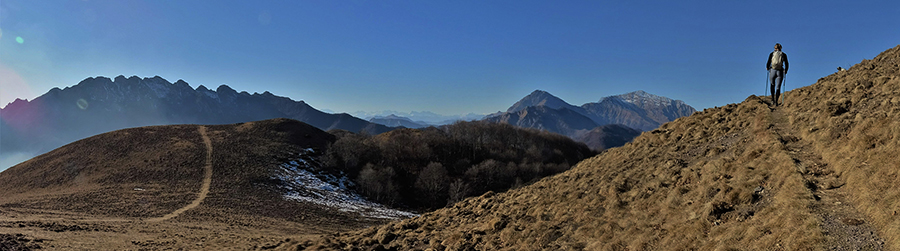 Dalla Malga Cucco (1510 m) in salita dal versante nord allo Zuc de Valmana (1546 m)
