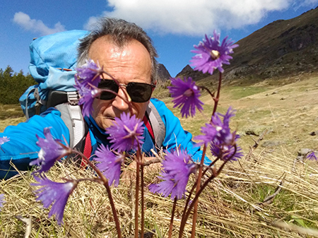 Primavera al Monte Campo con distese di crocus e al Laghetto di Pietra Quadra in progressivo disgelo il 24 maggio 2018 - FOTOGALLERY