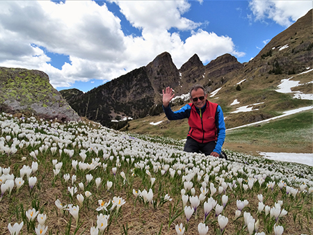 Primavera al Monte Campo, neve al Laghetto di Pietra Quadra -20magg21 - FOTOGALLERY