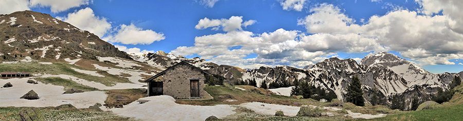 Alla Baita del Monte Campo (1878 m) pascoli fioriti