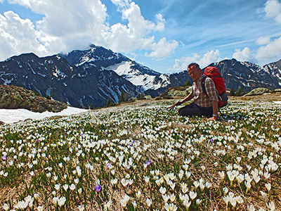 Salita al Monte Campo con distese di crocus e al Laghetto di Pietra Quadra ancora con tanta neve il 9 maggio 2013 - FOTOGALLERY