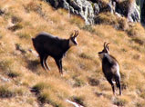 Salita dalle Baite di Mezzeno al laghetto dei Tre Pizzi e a cima Pietra Quadra