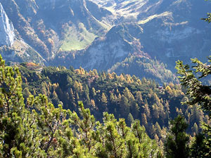 Roccolo di Monte Campo