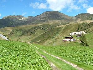 La Val Carisole con i monti Cherico e Corno Stella