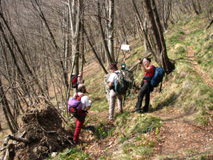 Il sentiero di destra sale al monte Ortighera