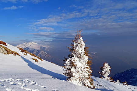 Invernale solitaria pomeridiana in VENTUROSA (1999 m) da Buffalora il 21 febb. 2018 - FOTOGALLERY