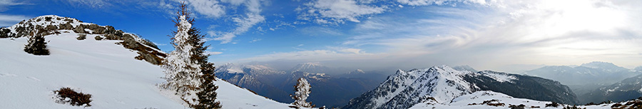 Abeti rivestiti di bianca neve ghiacciata