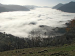 Al monte, nebbia in valle e al piano: pecore al pascolo sui prati di Brembella (S. Giovanni Bianco)