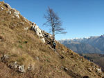 Dal Passo di Grialeggio salita al Venturosa