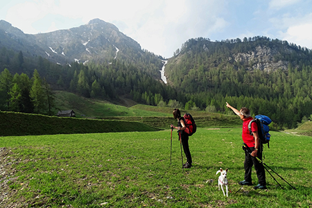 Monte Valgussera, Pizzo Vescovo, Monte Brate, tre cime ad anello da Foppolo il 28 maggio 2016 - FOTOGALLERY