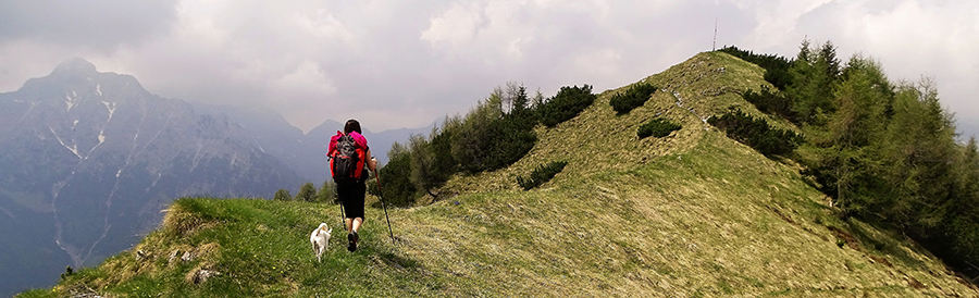 Dalla cresta salendo alla cima del Monte Brate