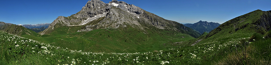 Estese fioriture di anemoni narcissini sulle pendici dei monti Vindiolo e Vetro 