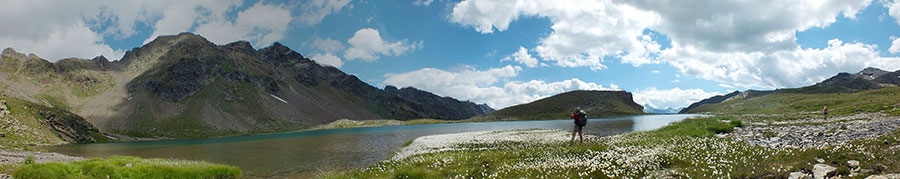 Distese di eriofori al Lago d'Ercavallo