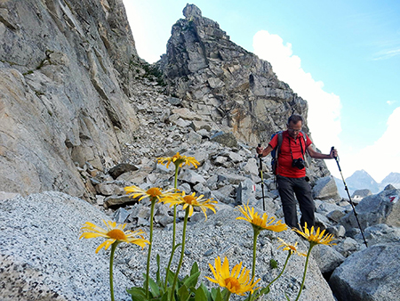 Punta Venerocolo (3323 m) in Adamello il 14-15 agosto 2016 - FOTOGALLERY