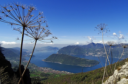 Anello di Punta Almana (1390 m) in cresta integrale il 14 aprile 2016  - FOTOGALLERY