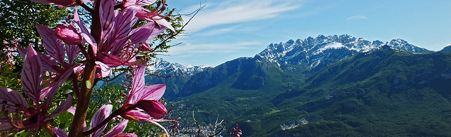 'Frassinella' con vista in Resegone