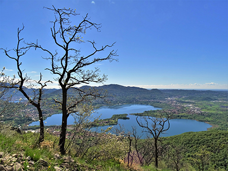 Corno Birone col gioiello romanico di S. Pietro al Monte da Civate-24apr23- FOTOGALLERY