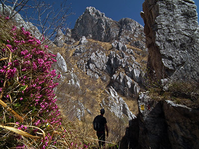 Monte Moregallo (1276 m.) e Corno di Canzo orientale (1239 m.) bell’accoppiata ad anello!  - FOTOGALLERY