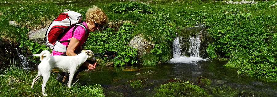 Acqua fresca di montagna per Stelina